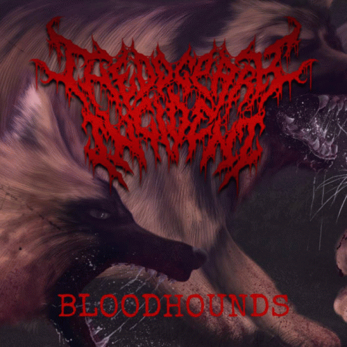 The Dog Park Incident : Bloodhounds